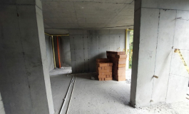Proyecto Buena Vista