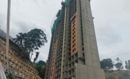 Proyecto Buena Vista