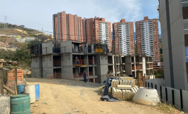 Proyecto Selva
